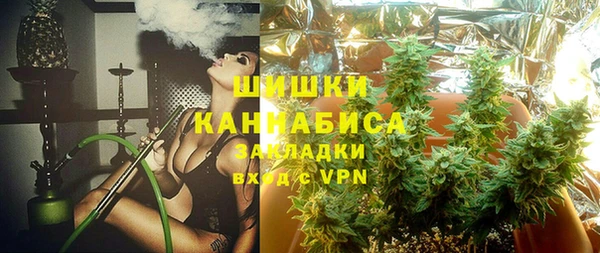 сатива Нефтекумск