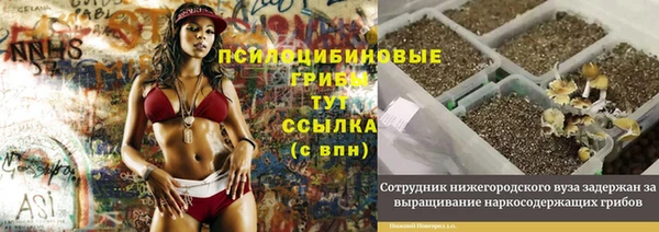 сатива Нефтекумск