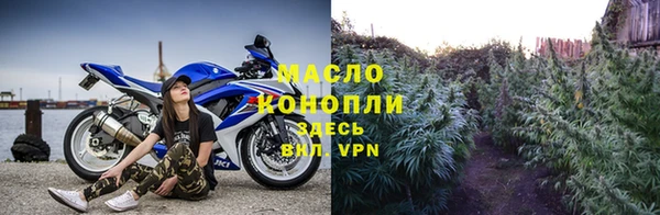 дживик Новозыбков