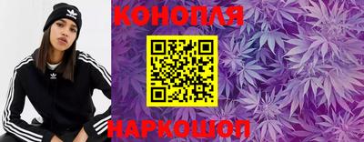 индика Ипатово