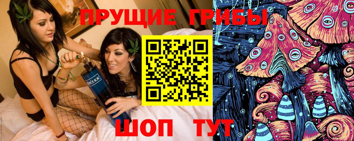 Галлюциногенные грибы GOLDEN TEACHER  Вход с VPN  Россошь 
